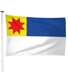 Vlag Berkel en Rodenrijs