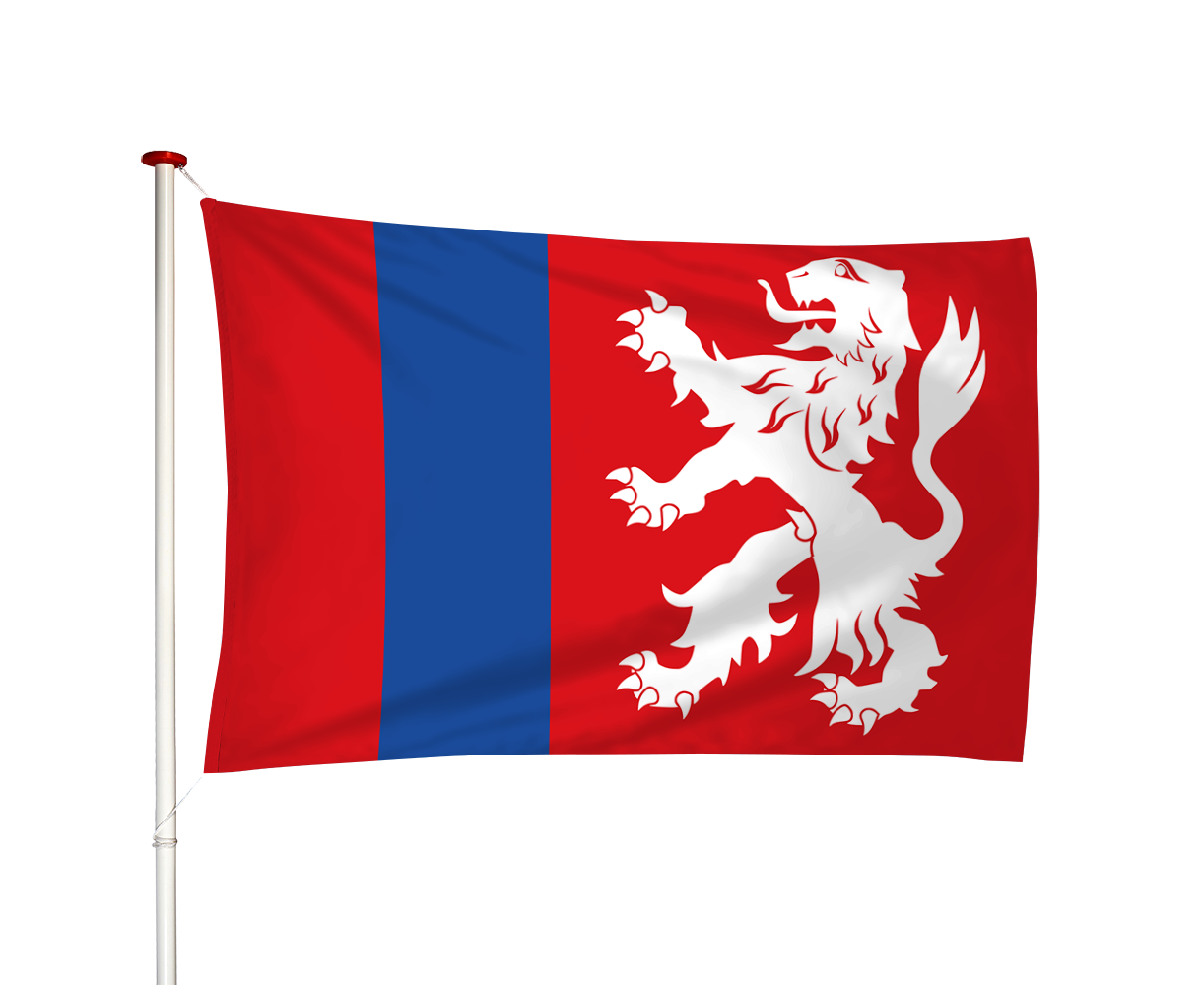 Vlag Heenvliet