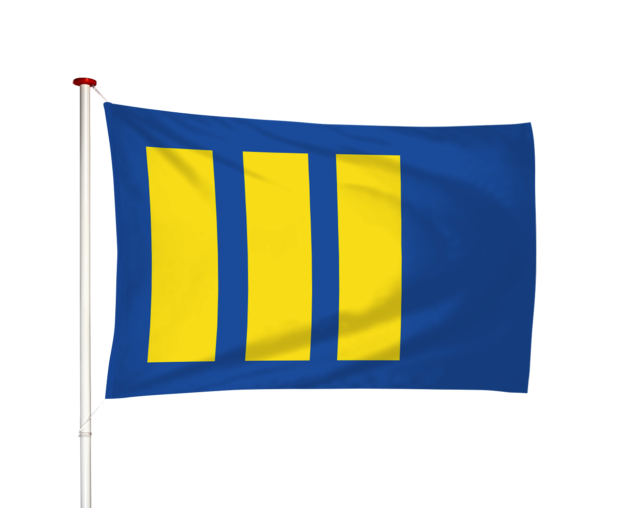 Vlag Budel