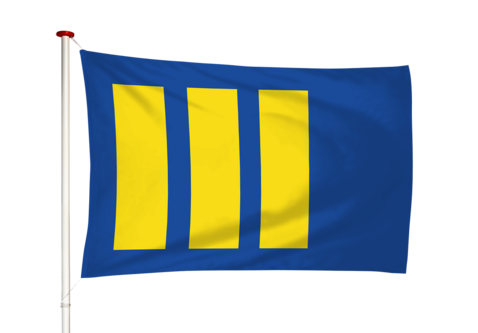 Vlag Budel