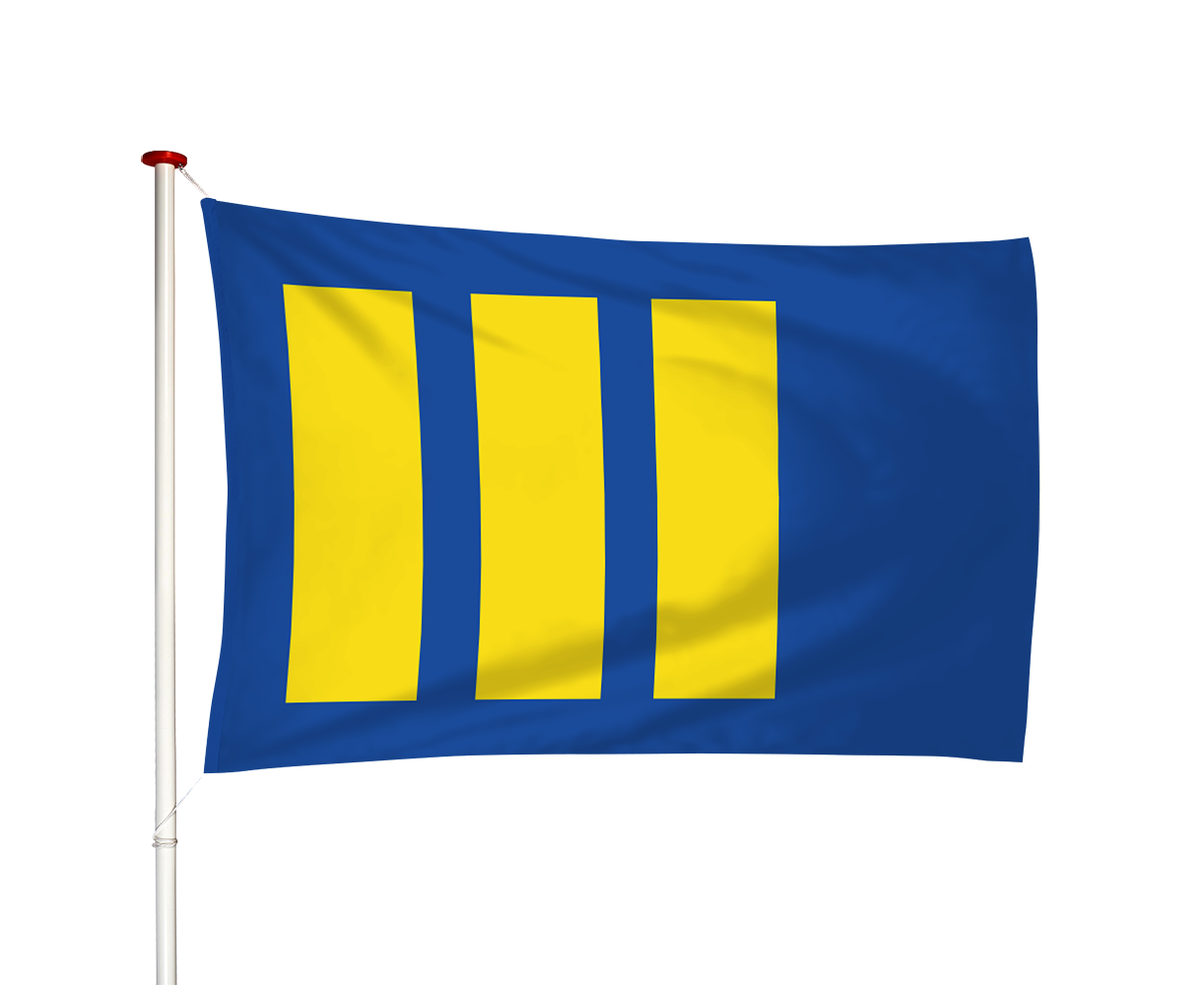 Vlag Budel
