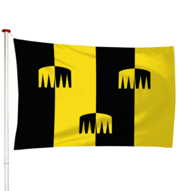 Vlag Chaam