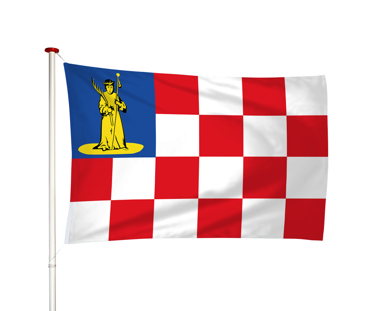 Vlag Den Dungen