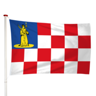 Vlag Den Dungen