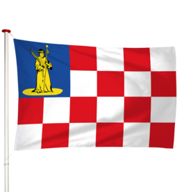Vlag Den Dungen