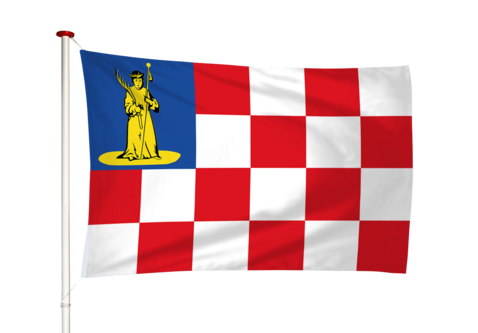 Vlag Den Dungen