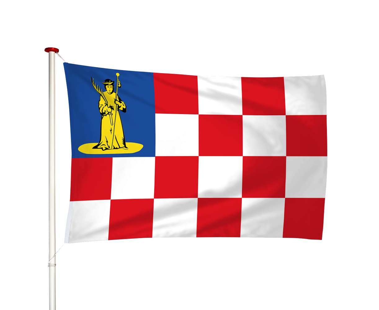 Vlag Den Dungen