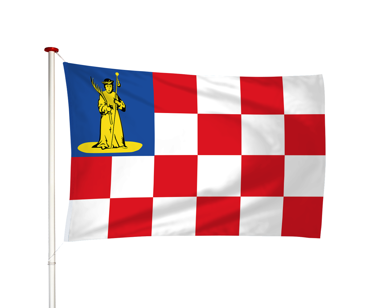 Vlag Den Dungen