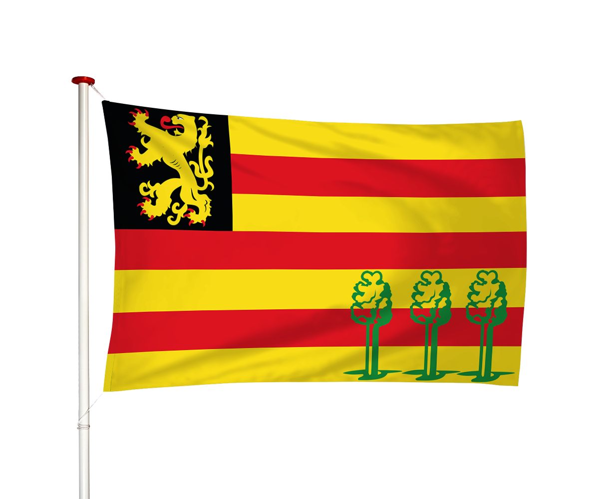 Vlag Luykgestel