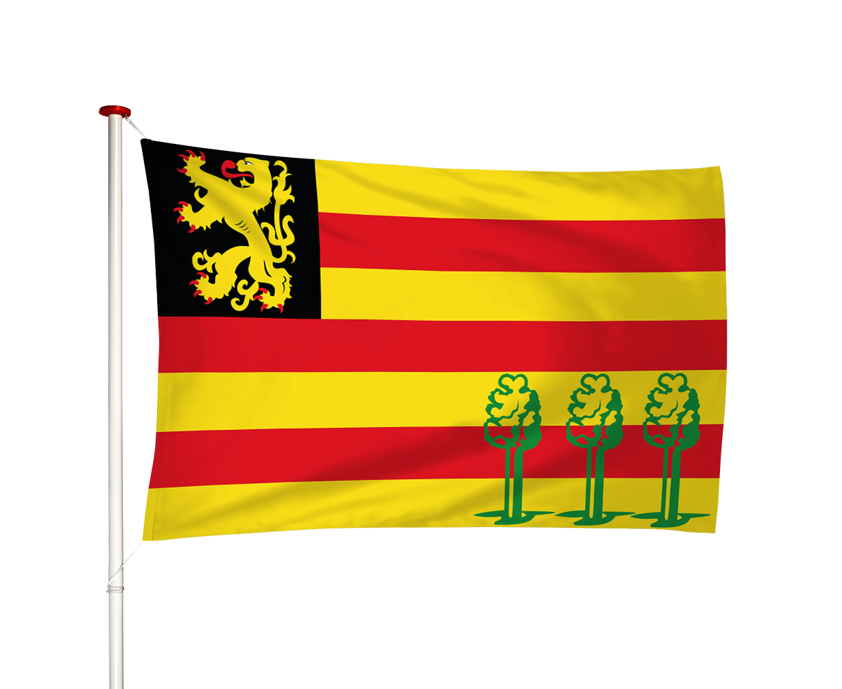 Vlag Luykgestel
