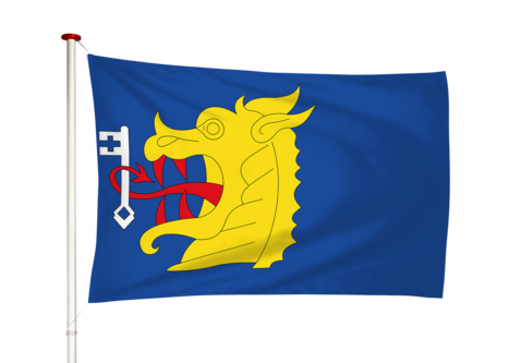 Vlag Lieshout