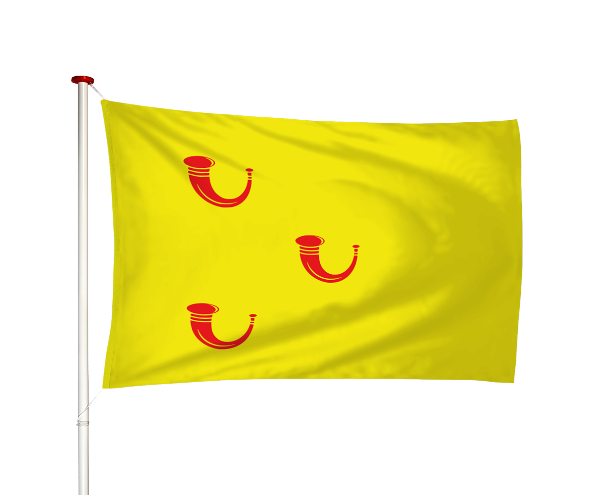 Vlag Leende