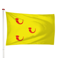Vlag Leende