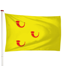 Vlag Leende