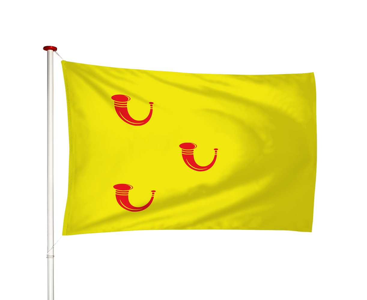 Vlag Leende