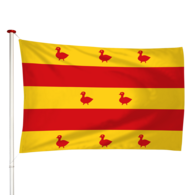 Vlag Grave