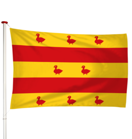 Vlag Grave