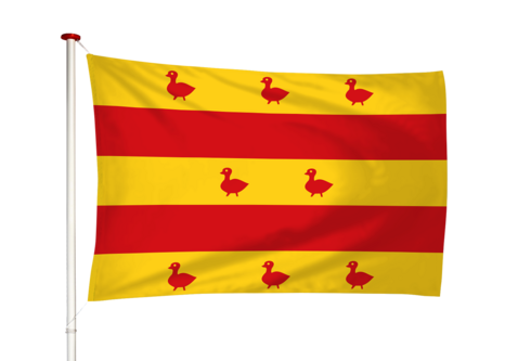 Vlag Grave