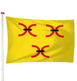 Vlag Orthen