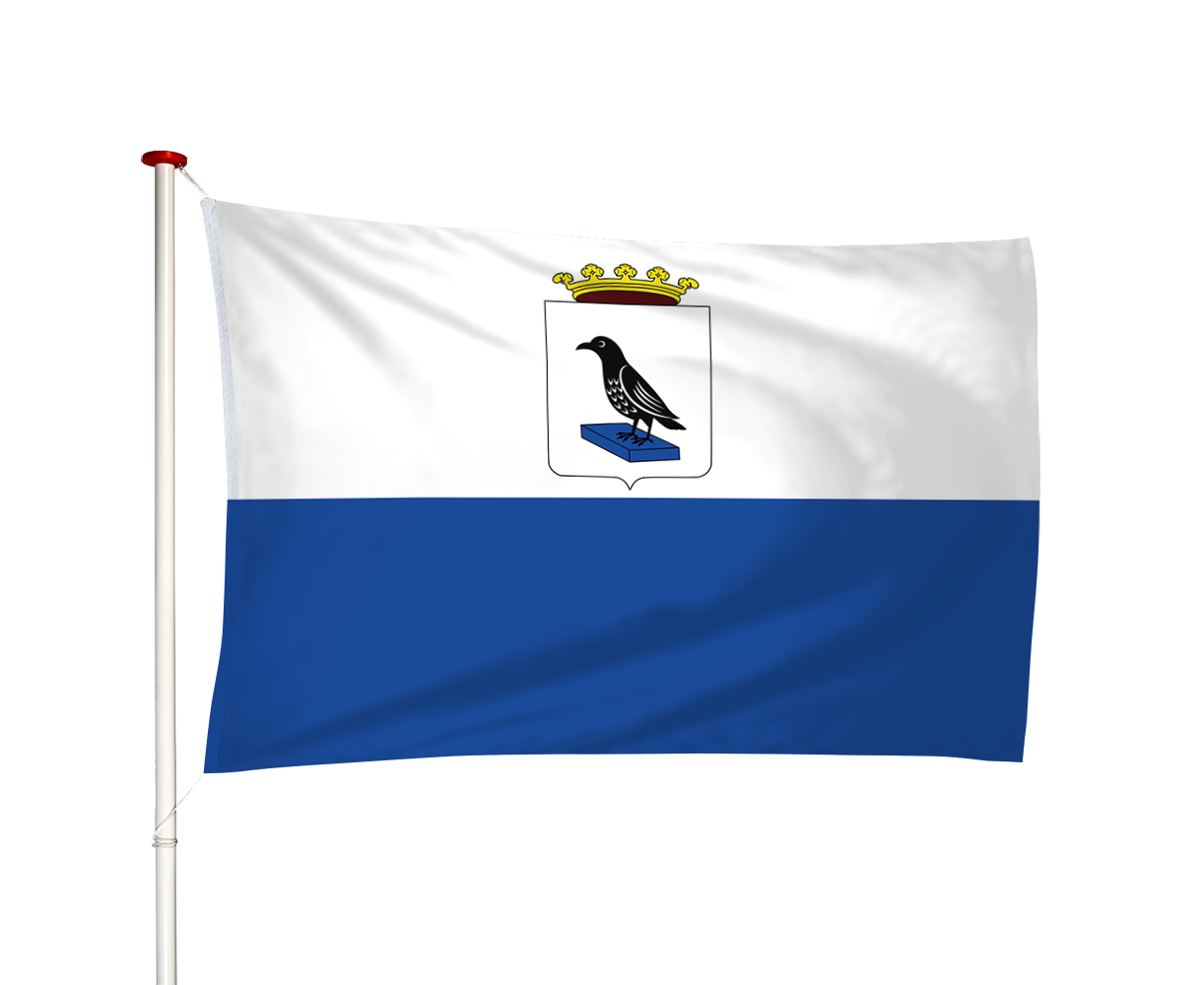 Vlag Ravenstein