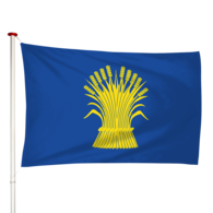 Vlag Reusel
