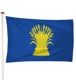 Vlag Reusel
