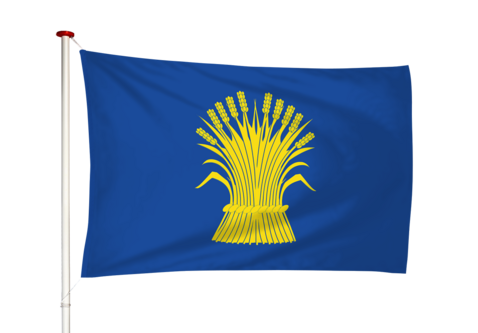 Vlag Reusel