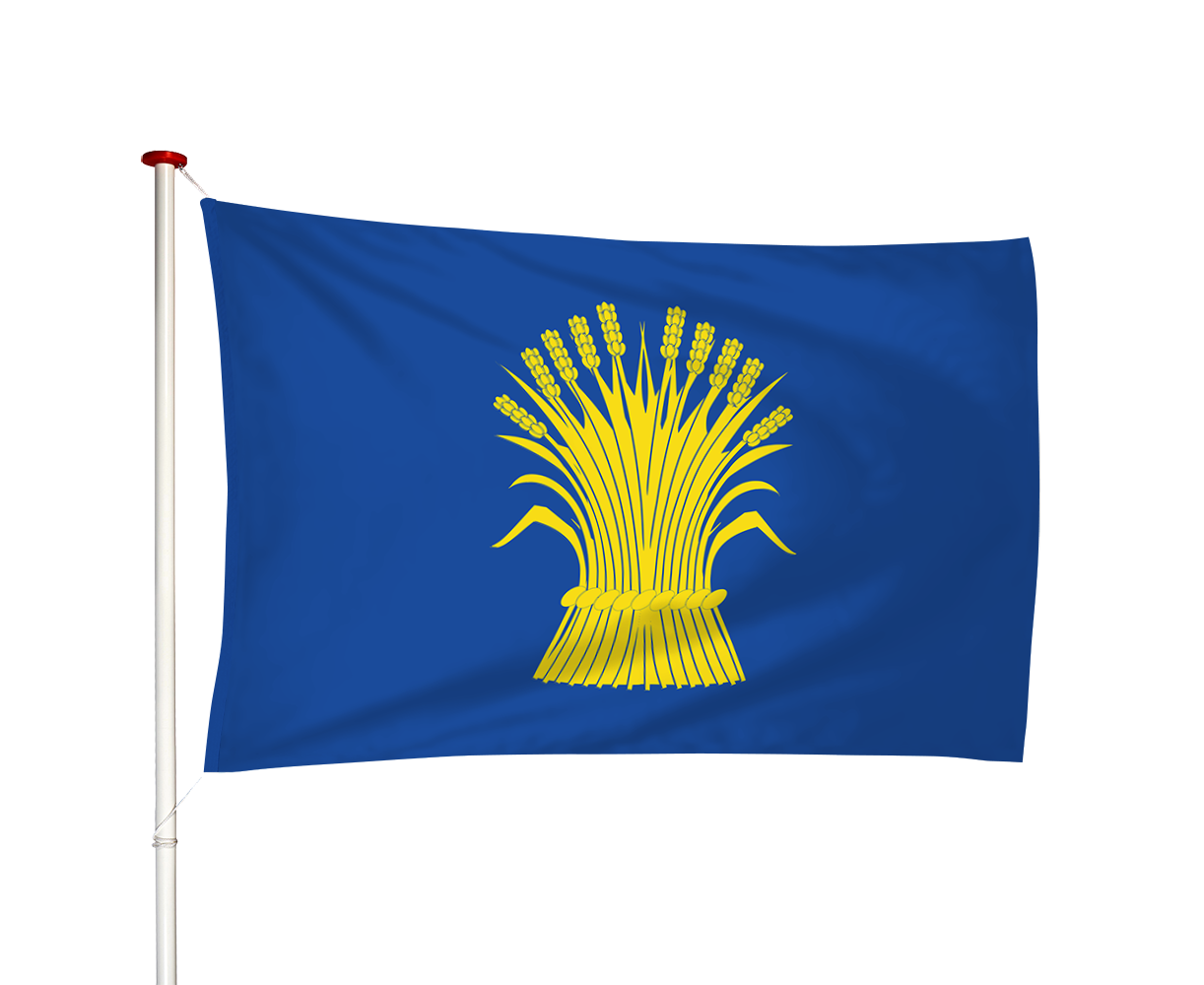 Vlag Reusel
