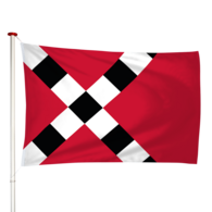 Vlag Veghel