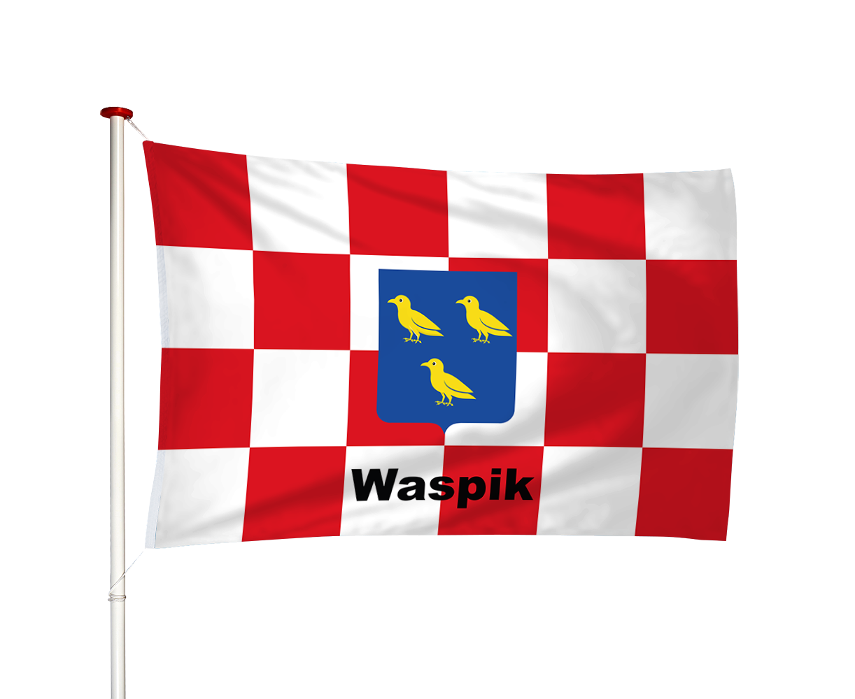 Vlag Waspik