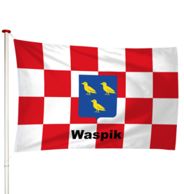 Vlag Waspik