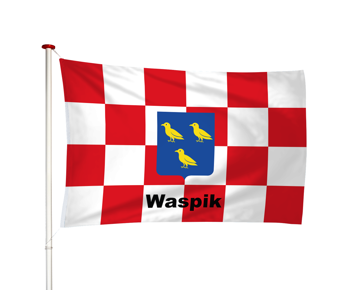 Vlag Waspik