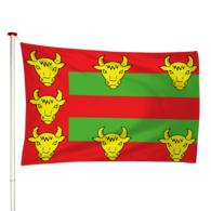 Vlag Eext