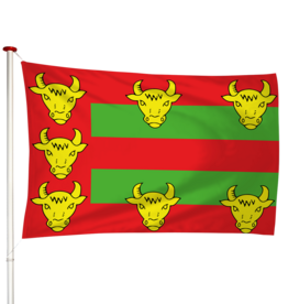 Vlag Eext