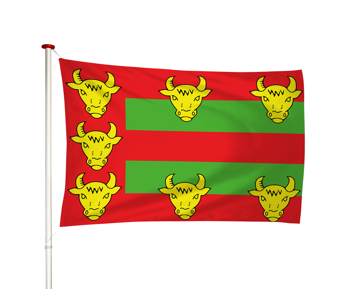 Vlag Eext