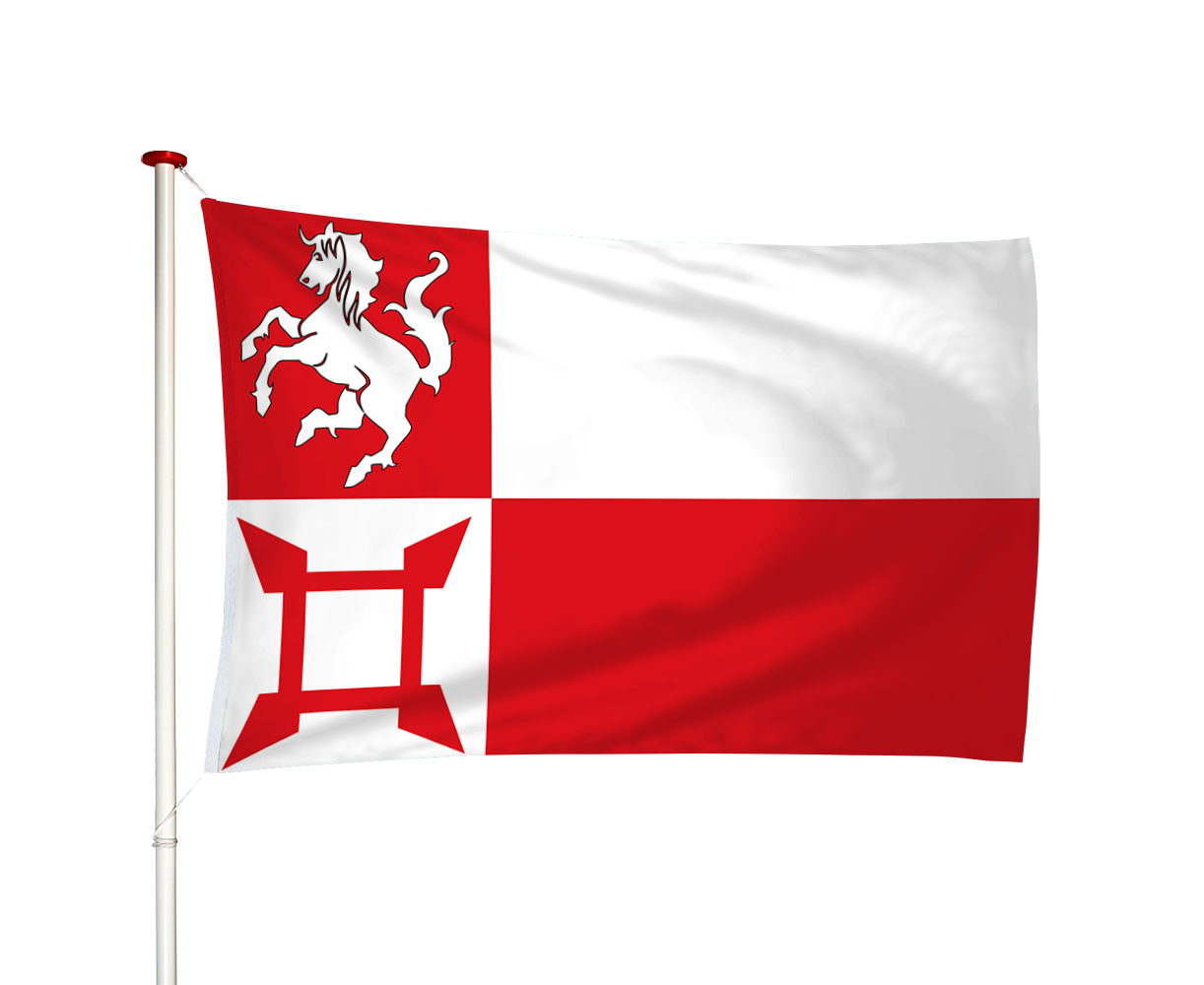 Vlag Norg