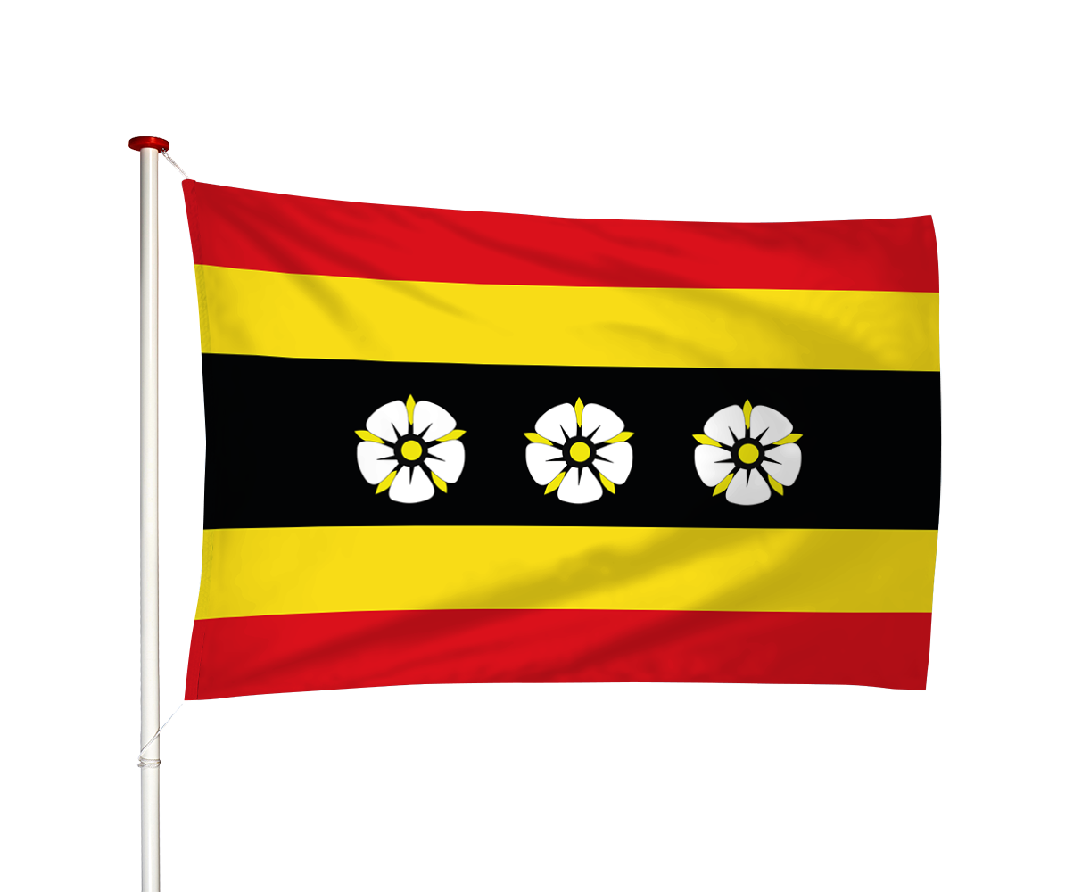 Vlag Ruinen