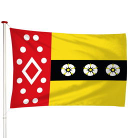 Vlag Ruinerwold
