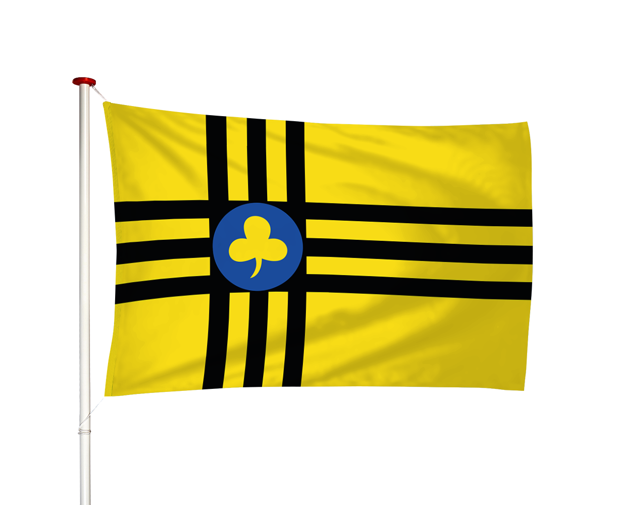 Vlag Vledder