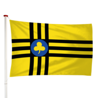 Vlag Vledder