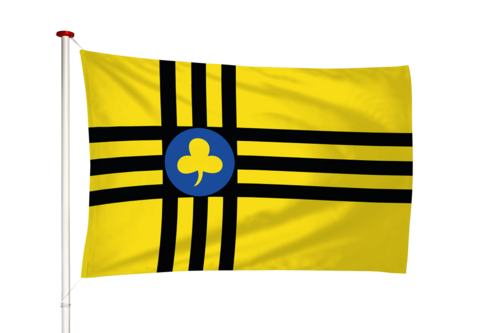 Vlag Vledder