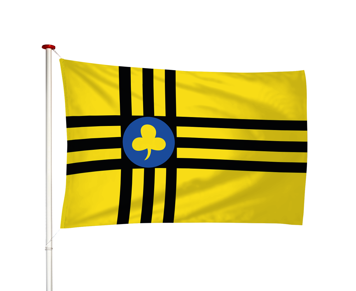 Vlag Vledder