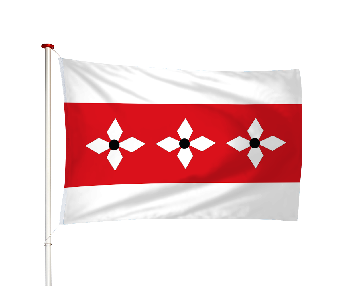 Vlag Vries
