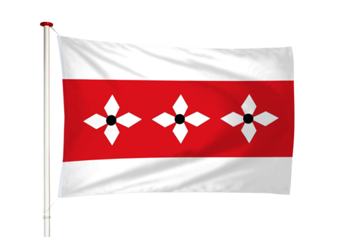 Vlag Vries