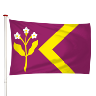 Vlag Zorgvliet