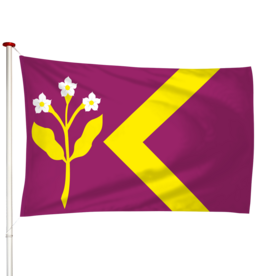 Vlag Zorgvliet