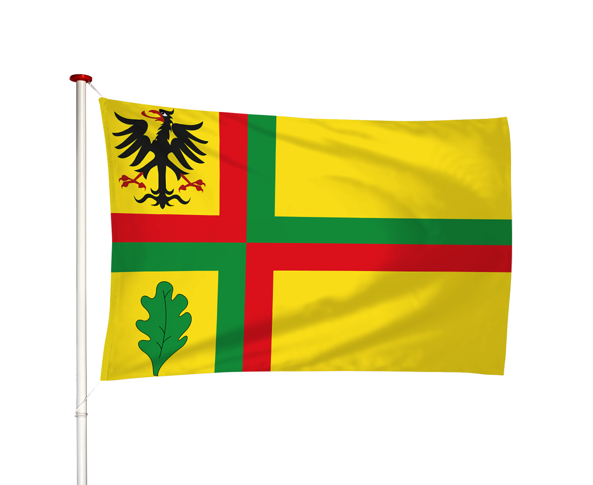 Vlag Zuidwolde