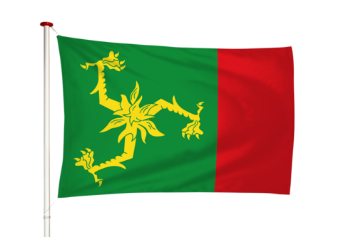 Vlag Aegum - Eagum (fr)