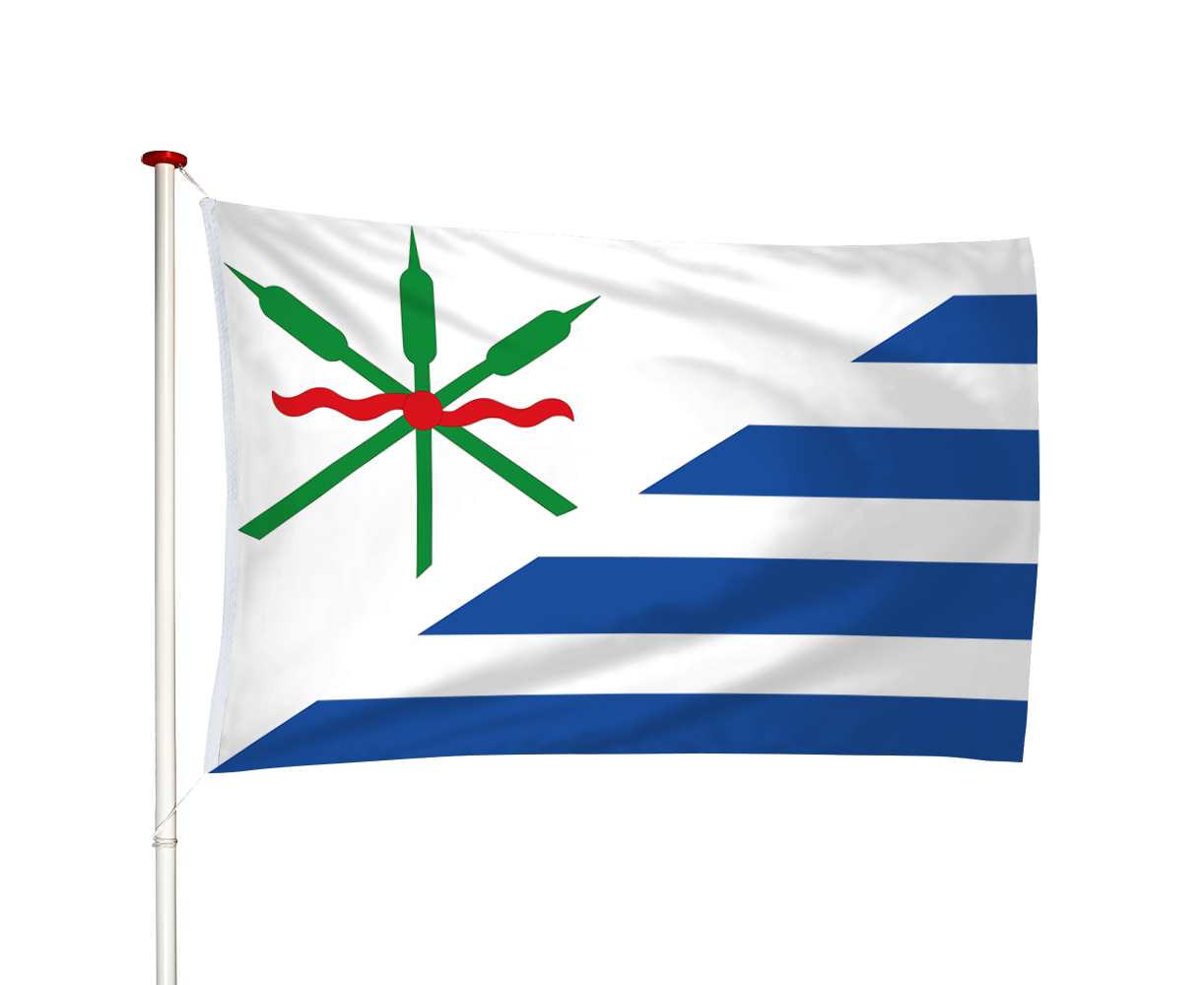 Vlag Anjum - Eanjum (fr)