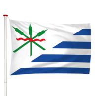 Vlag Anjum - Eanjum (fr)